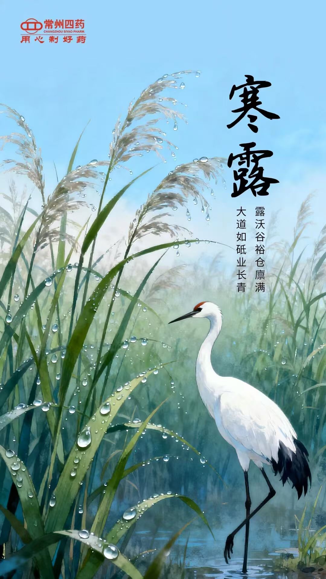 今日寒露|露重風(fēng)涼，記得添衣